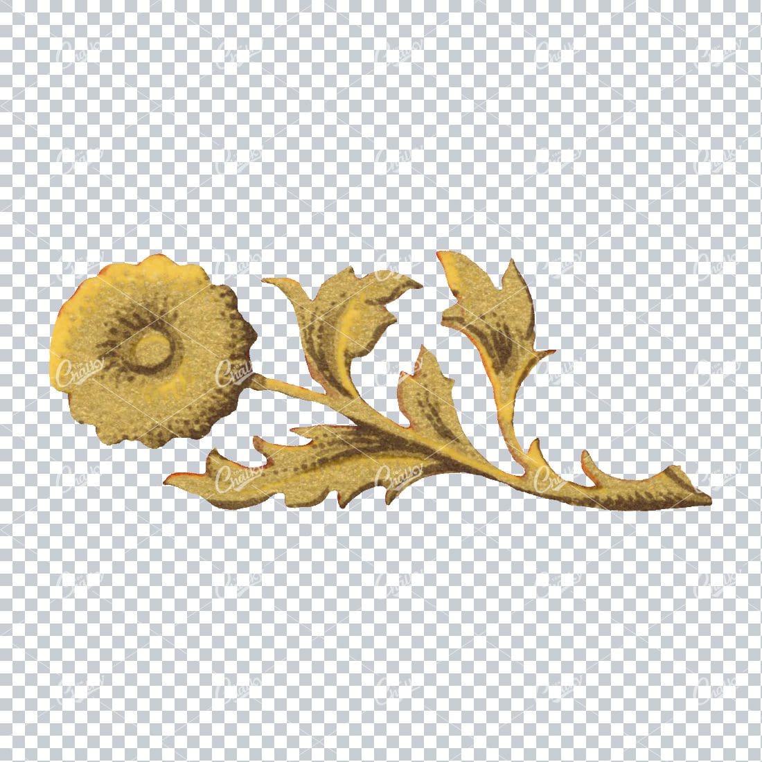 Flourished Botanical Illustration - Design Element No.11