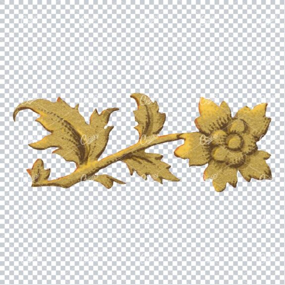 Flourished Botanical Illustration - Design Element No.12