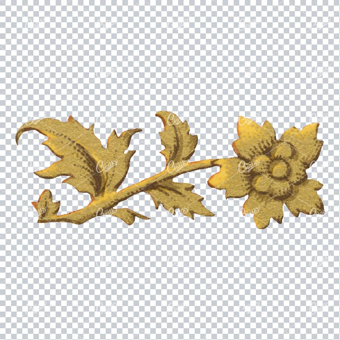 Flourished Botanical Illustration - Design Element No.12