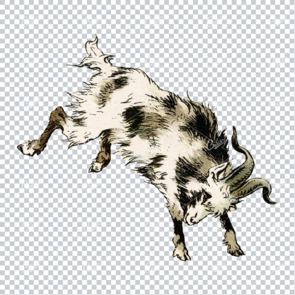 Vintage PNG Color Illustration of a Kicking Goat