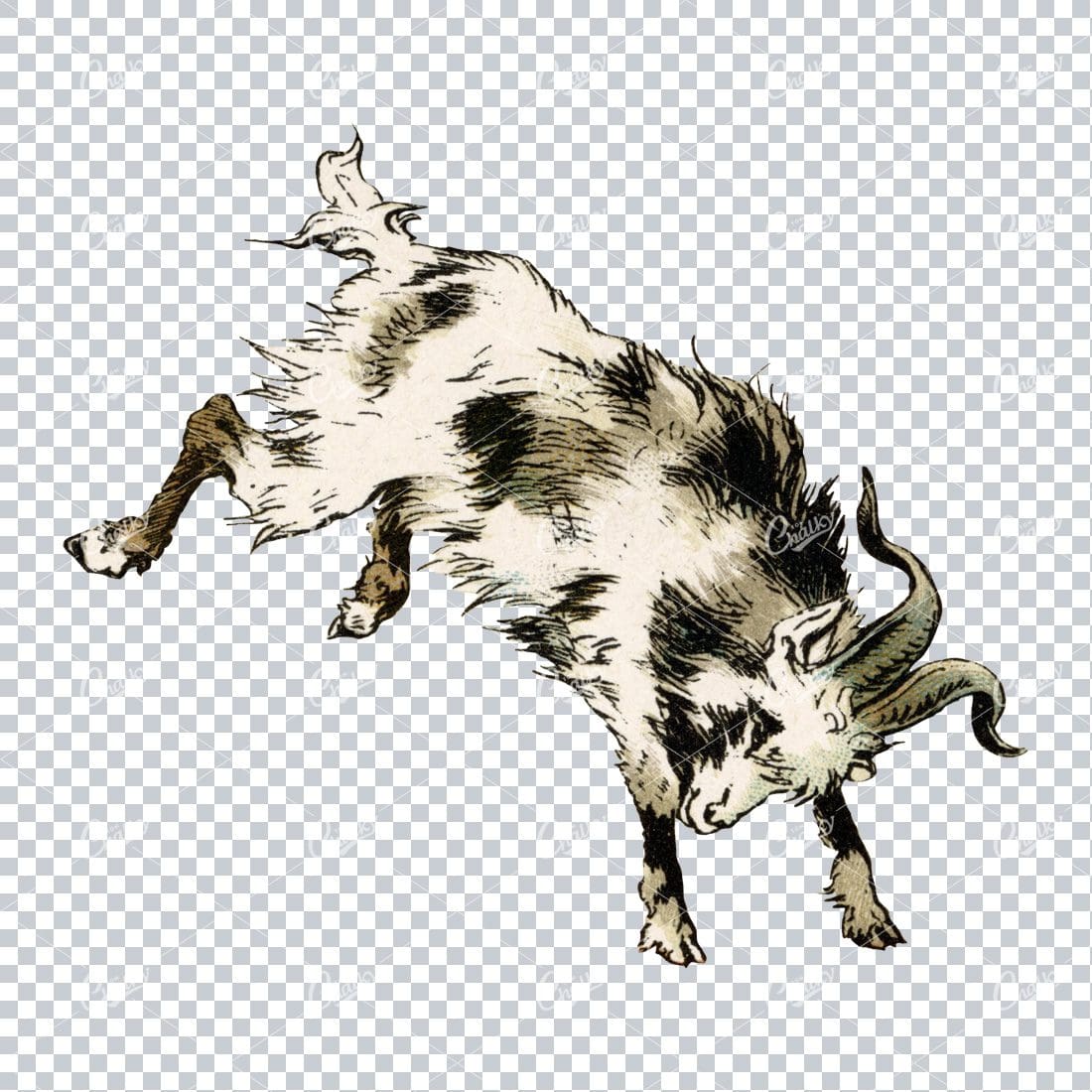 Vintage PNG Color Illustration of a Kicking Goat