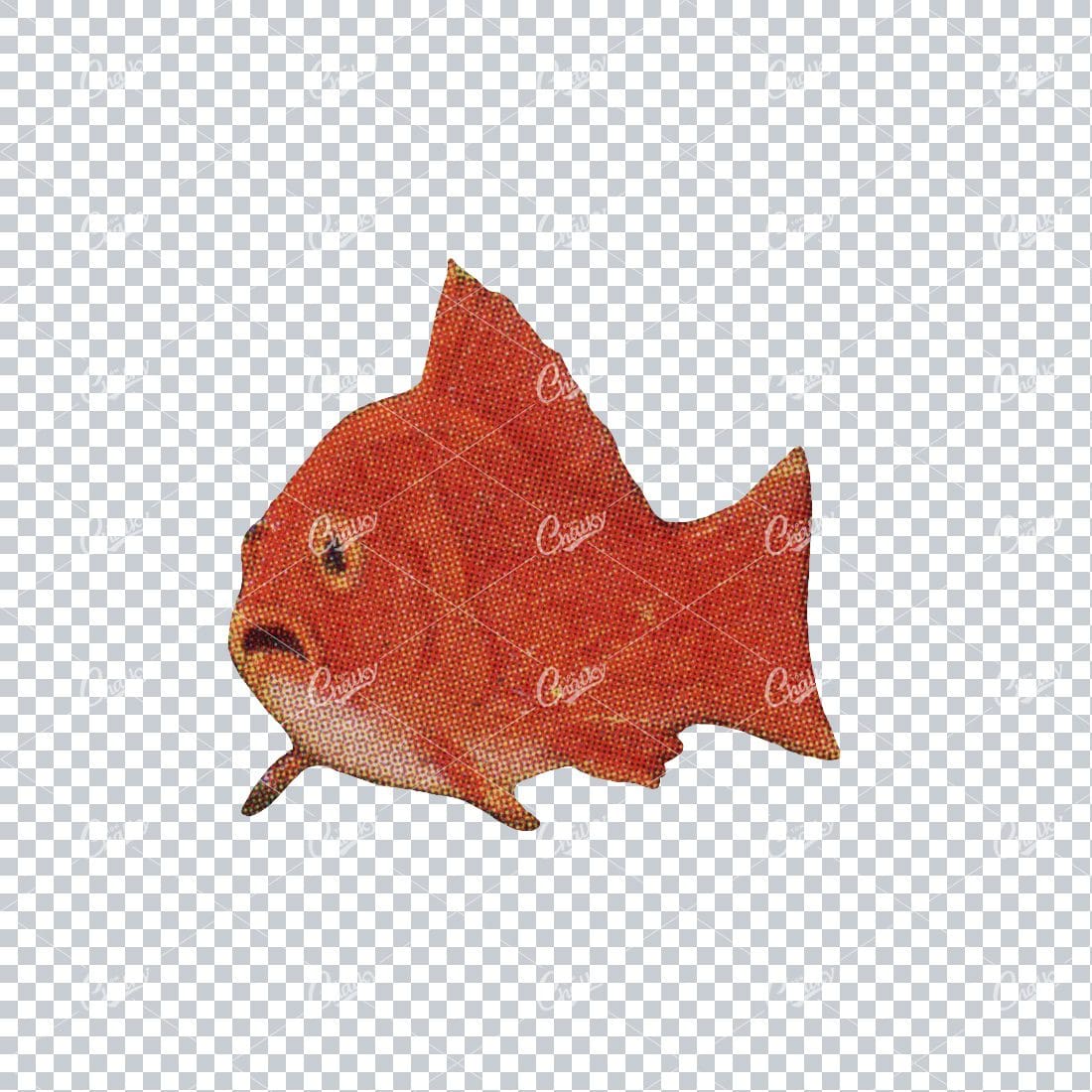 Vintage PNG Color Illustration of a Goldfish