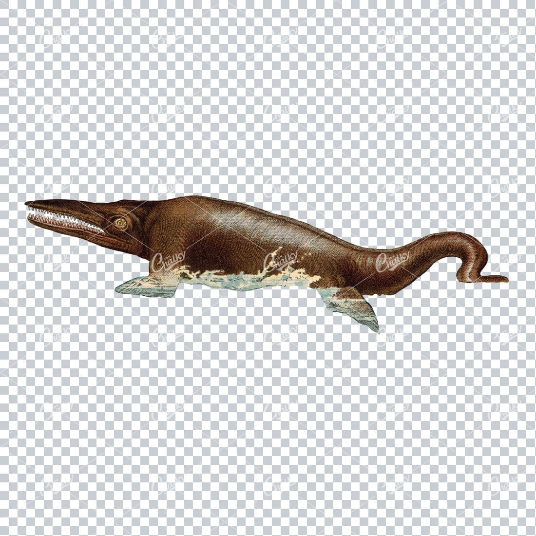 Vintage Prehistoric Color Illustration of an Ichthyosaurus