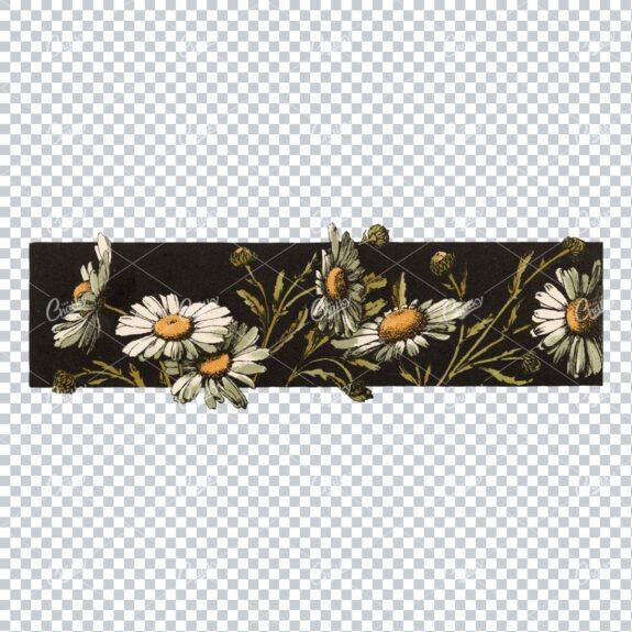 Vintage Hand Darwn Colored Illustration of a Black Border with Daisies Overlapping