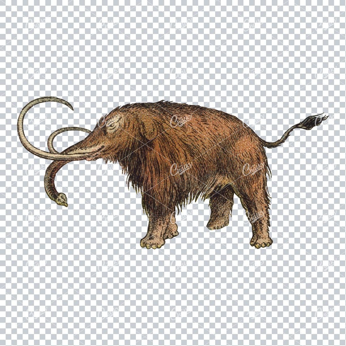 Vintage Full Color Prehistoric Illustration of a Mammoth