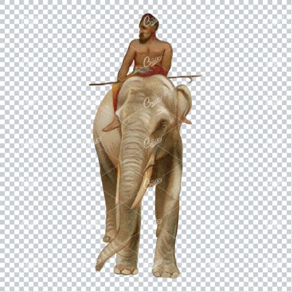 Vintage Full Color PNG Illustration of Man Riding Elephant