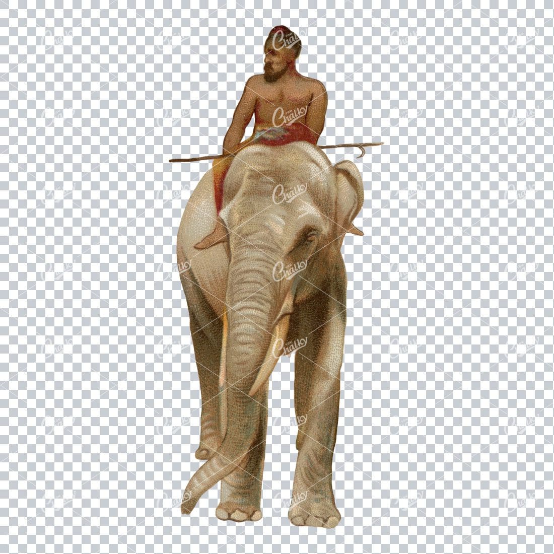 Vintage Full Color PNG Illustration of Man Riding Elephant