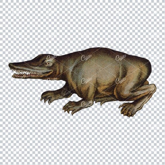 Vintage Full Color Prehistoric Illustration of a Mastadonsaurus Dinosaur