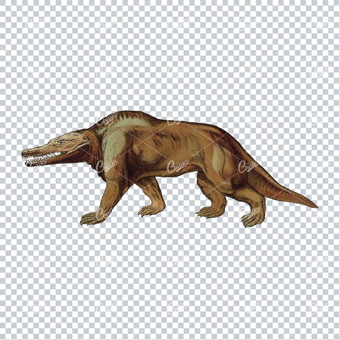 Vintage Full Color Prehistoric Illustration of a Megalasuarus Dinosaur