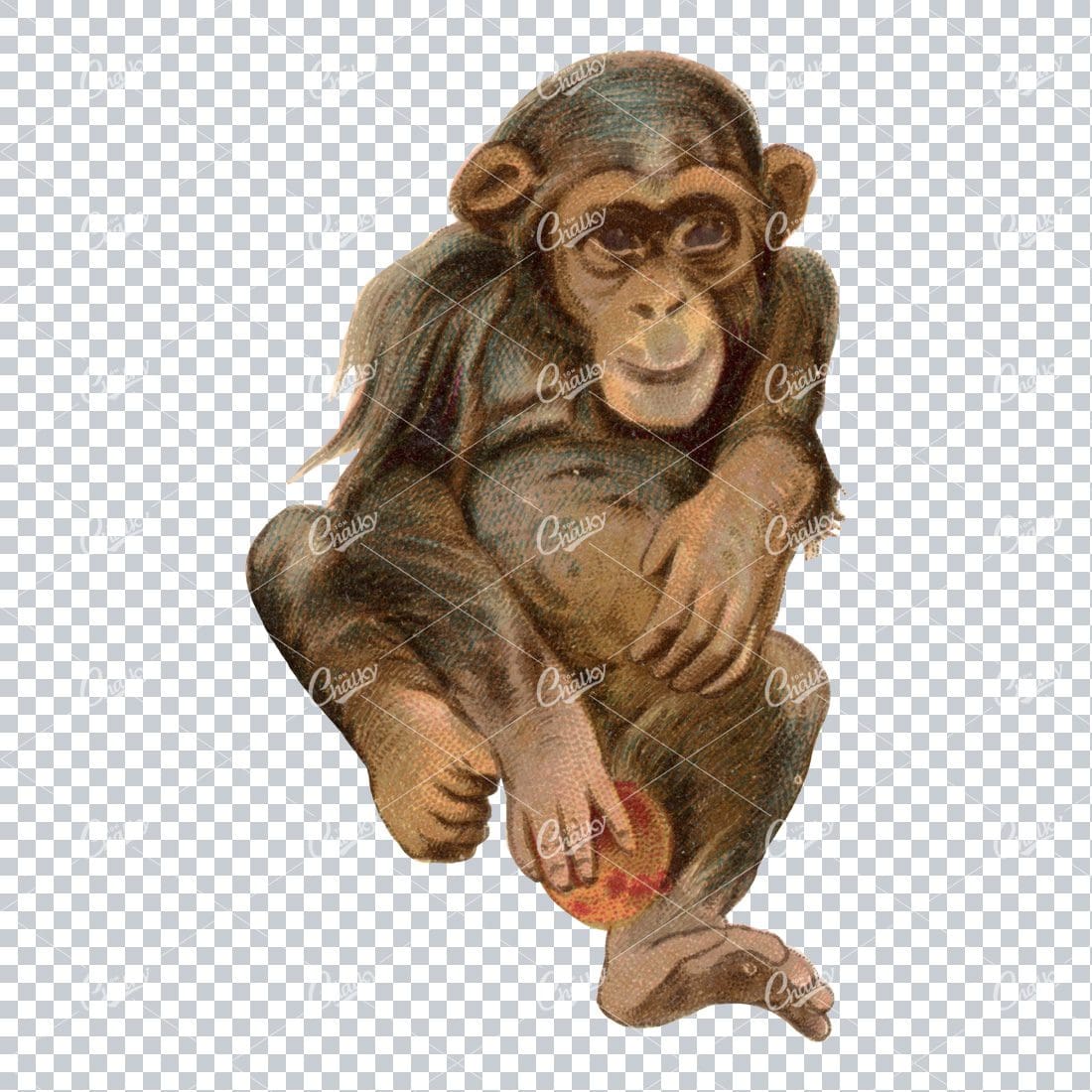 Vintage Full Color PNG Illustration - Monkey No.1