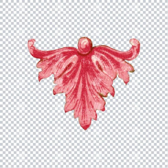 Coral Pink Flourished Design Element Png Illustration No.1