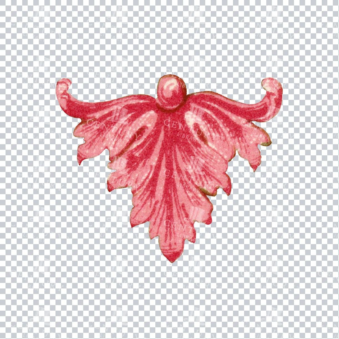 Coral Pink Flourished Design Element Png Illustration No.1