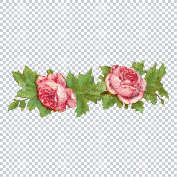 Vintage Hand Painted Floral / Botanical Design No.1