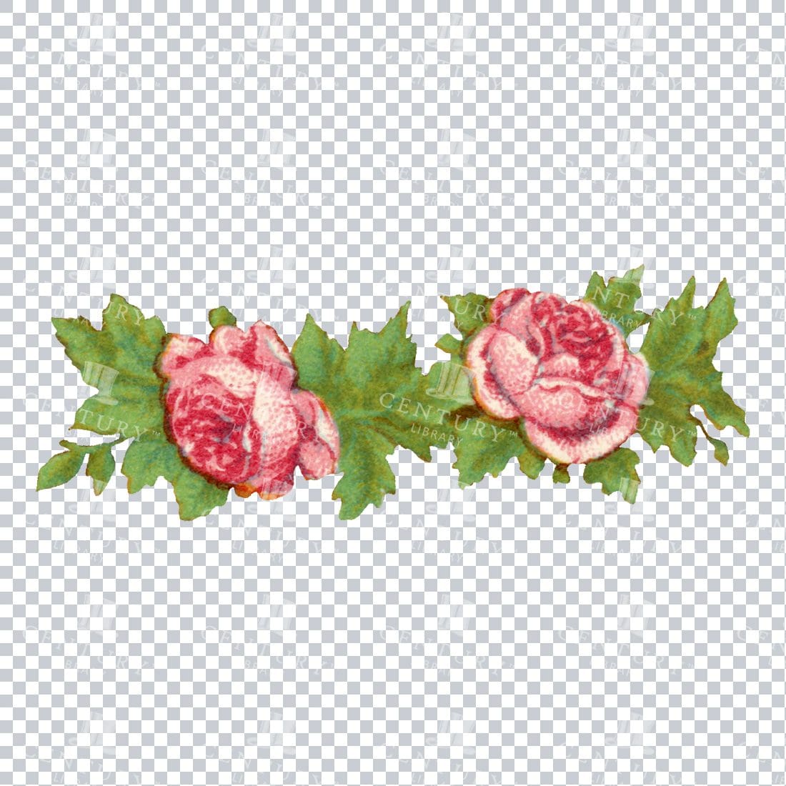 Vintage Hand Painted Floral / Botanical Design No.1