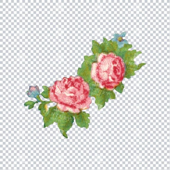 Vintage Hand Painted Roses / Floral / Botanical Design No.3