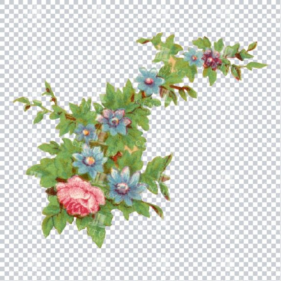 Vintage Hand Painted Roses / Floral / Botanical Design No.5