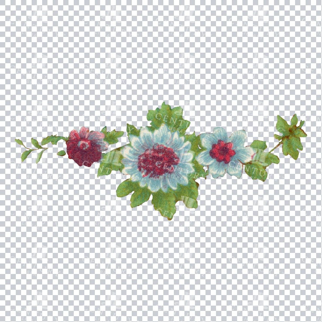Vintage Hand Painted Roses / Floral / Botanical Design No.6