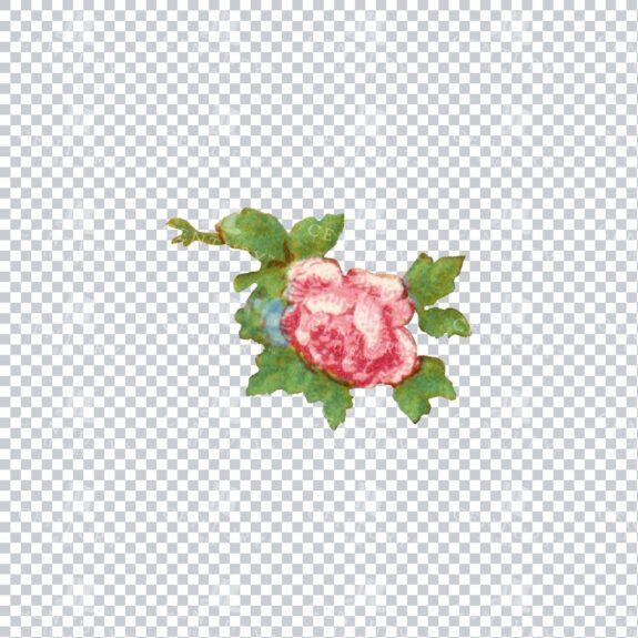 Vintage Hand Painted Rose / Floral / Botanical Design No.13
