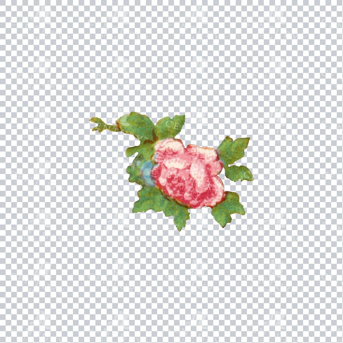 Vintage Hand Painted Rose / Floral / Botanical Design No.13