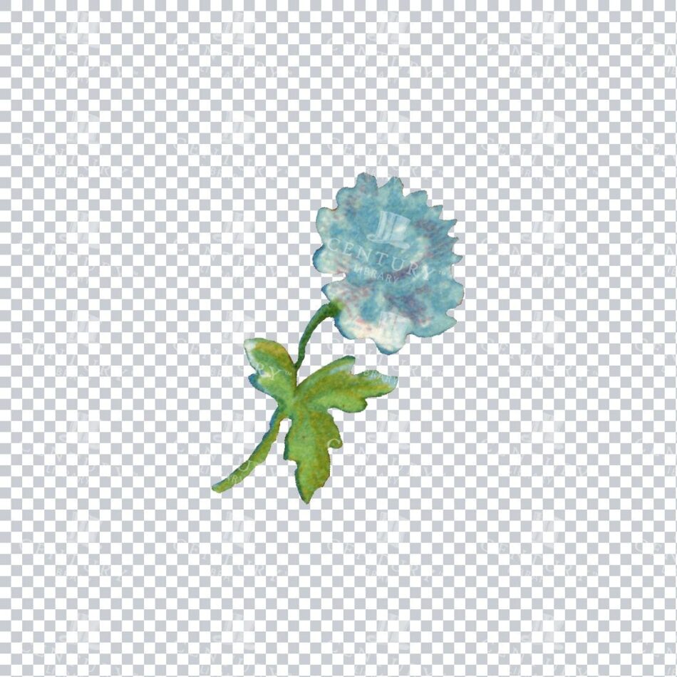 Blue Ruffled Flower With Leaf Cluster On A Slender Stem - Soft Watercolor Wash, Diagonal Composition, White Background