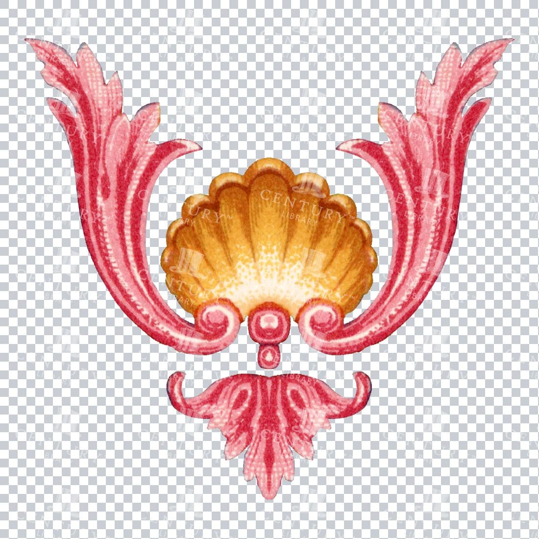 Coral Pink Flourished Design Element PNG Illustration No.3