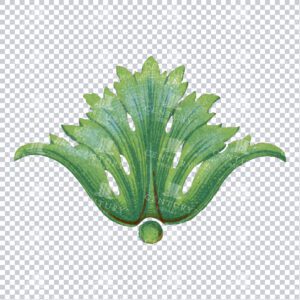 Bright Green Flourished Design Element PNG Clipart