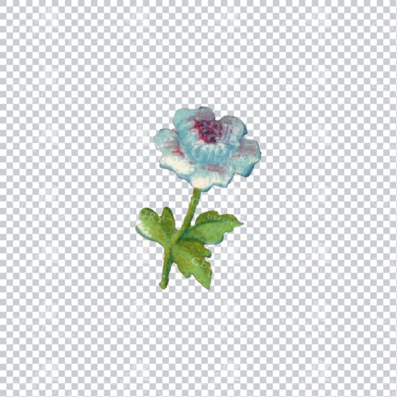 Vintage Hand Painted Rose / Floral / Botanical Design No.25