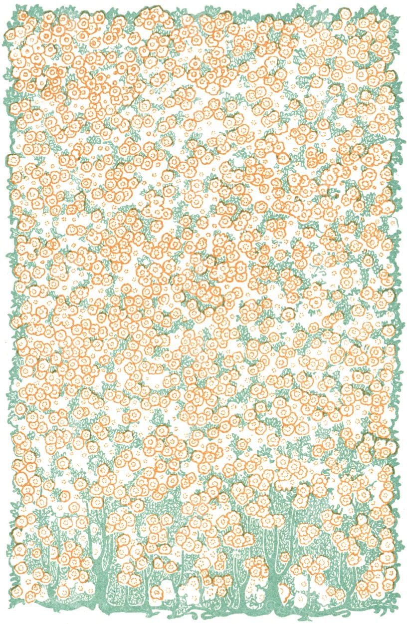Hand Drawn Floral Inspired Background Pattern / Texture No.2