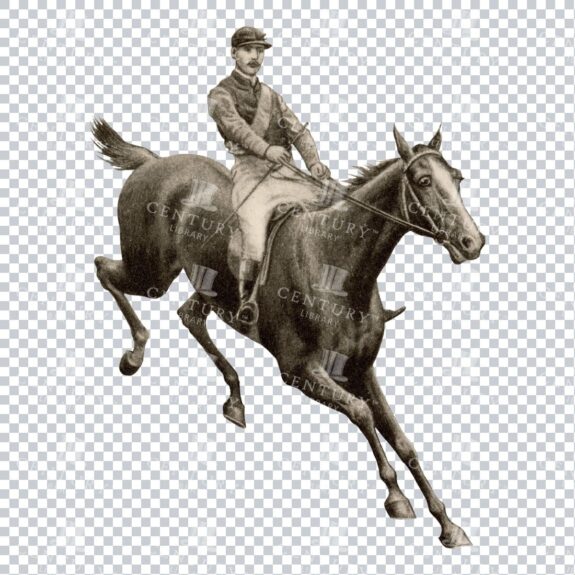 Vintage Sepia Toned Illustration of a Horse Rider and Horse