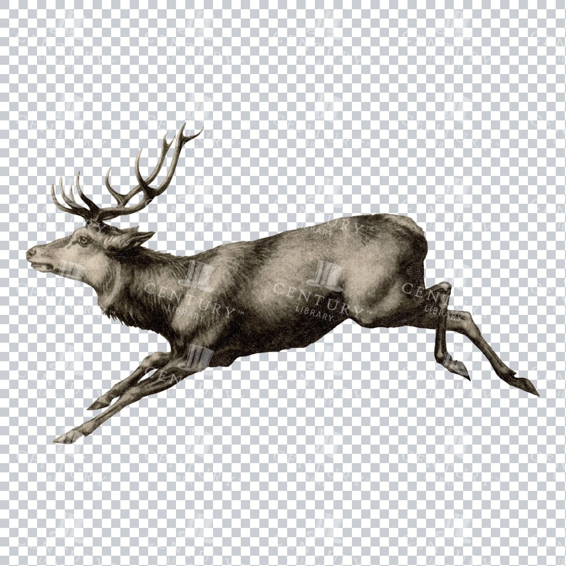 Vintage Sepia Toned Illustration of a Reindeer Running