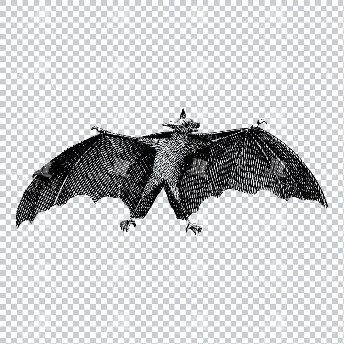Line Art PNG Illustration - Bat No.2