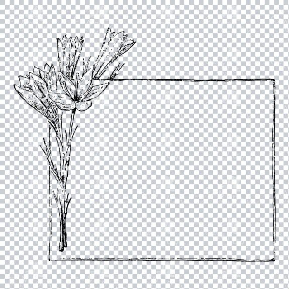 Decorative Line Art Illustration - Frame / Border / Outline No.5