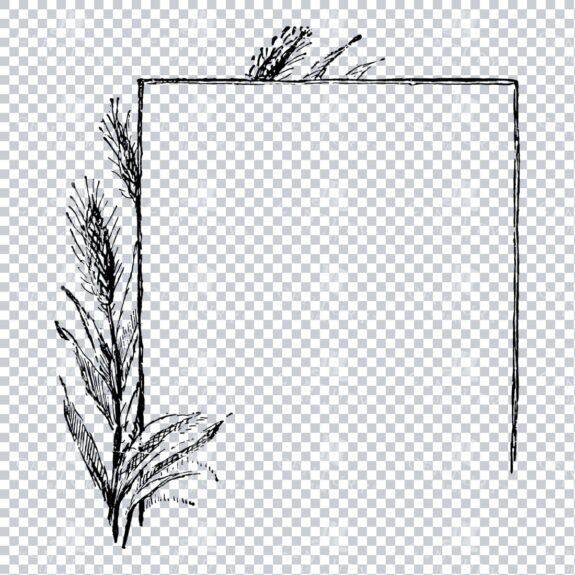 Decorative Line Art Illustration - Frame / Border / Outline No.15