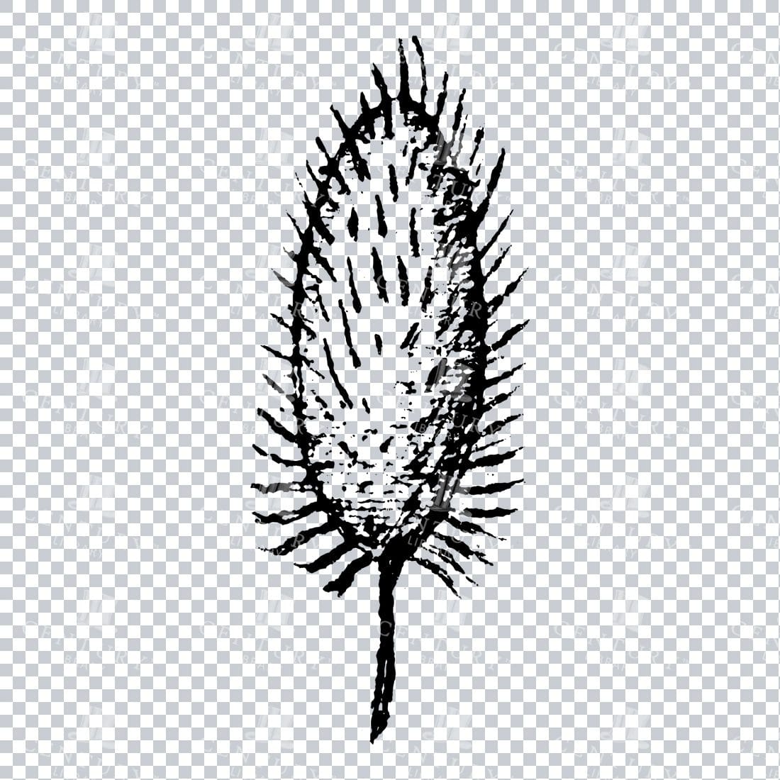 Small Hand Drawn PNG Botanical Illustration - Flower / Leaf  No.7
