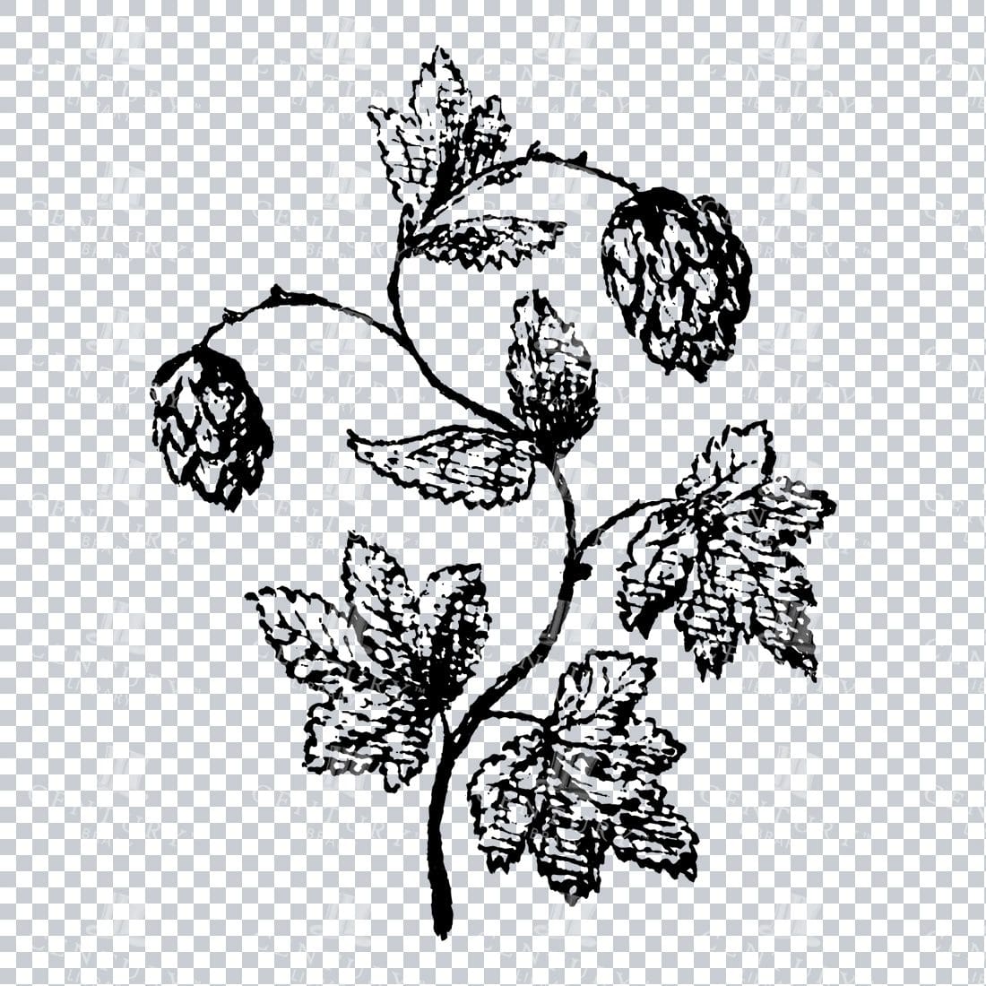 Small Hand Drawn PNG Botanical Illustration - Flower / Leaf  No.8