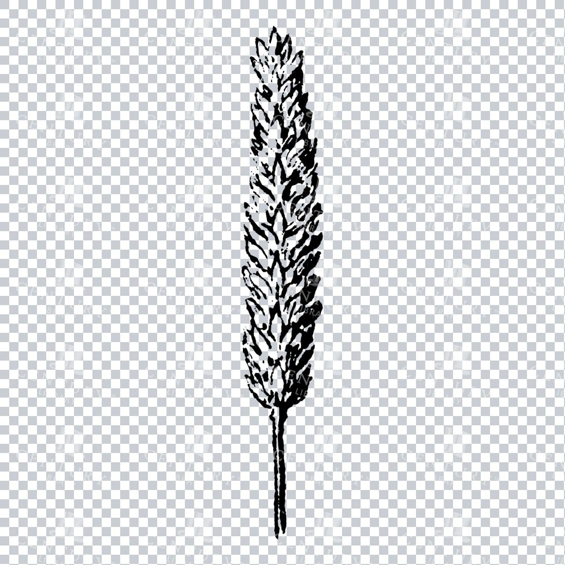 Small Hand Drawn PNG Botanical Illustration - Flower / Leaf  No.13