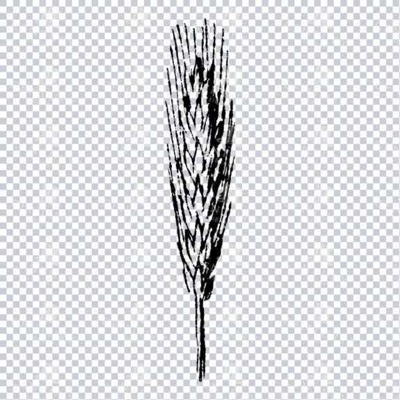 Small Hand Drawn PNG Botanical Illustration - Flower / Leaf  No.18