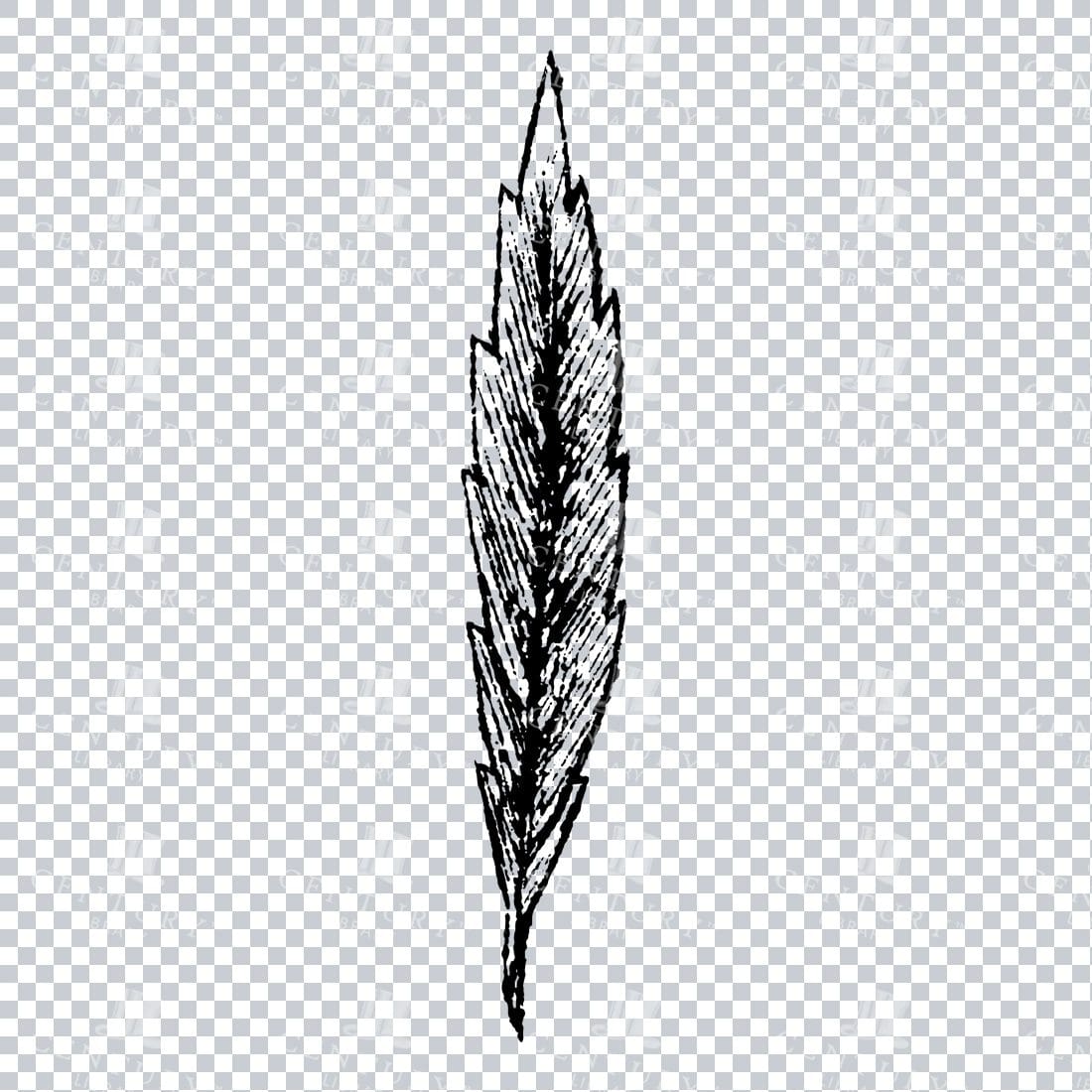 Small Hand Drawn PNG Botanical Illustration - Flower / Leaf  No.31