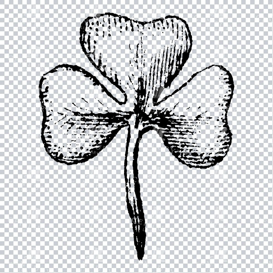 Small Hand Drawn PNG Botanical Illustration - Flower / Leaf  No.33