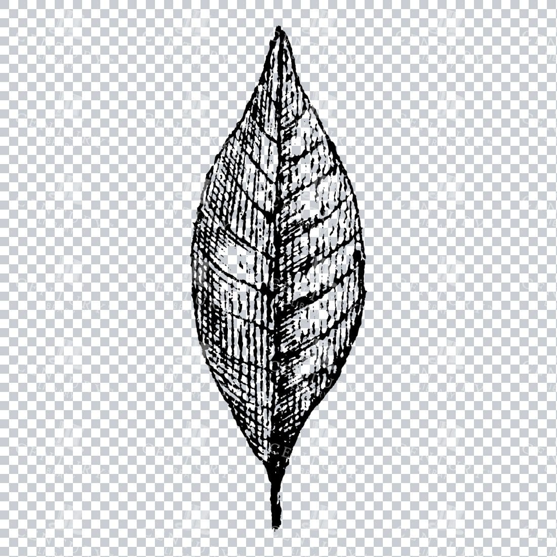 Small Hand Drawn PNG Botanical Illustration - Flower / Leaf  No.35