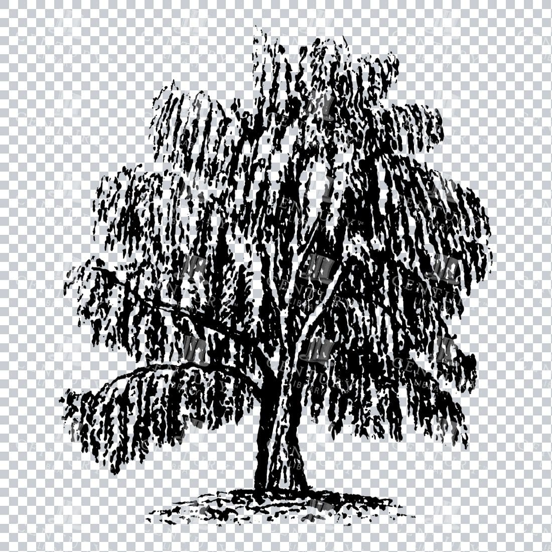 Small Hand Drawn PNG Line Art Illustration of a Tree No.3