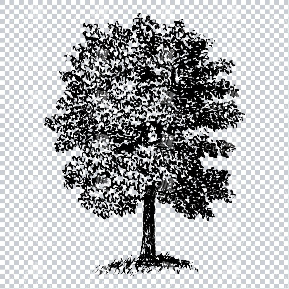 Small Hand Drawn PNG Line Art Illustration of a Tree No.7