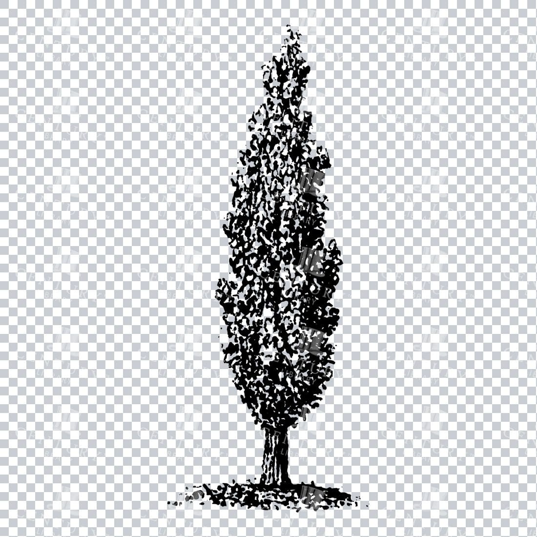 Small Hand Drawn PNG Line Art Illustration of a Tree No.16