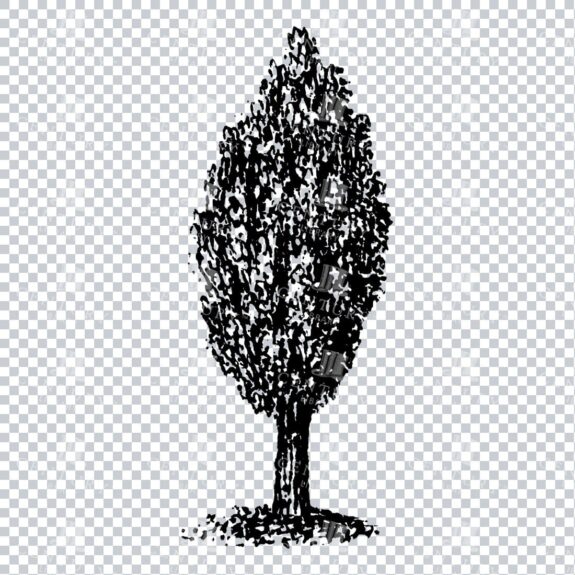 Small Hand Drawn PNG Line Art Illustration of a Tree No.17