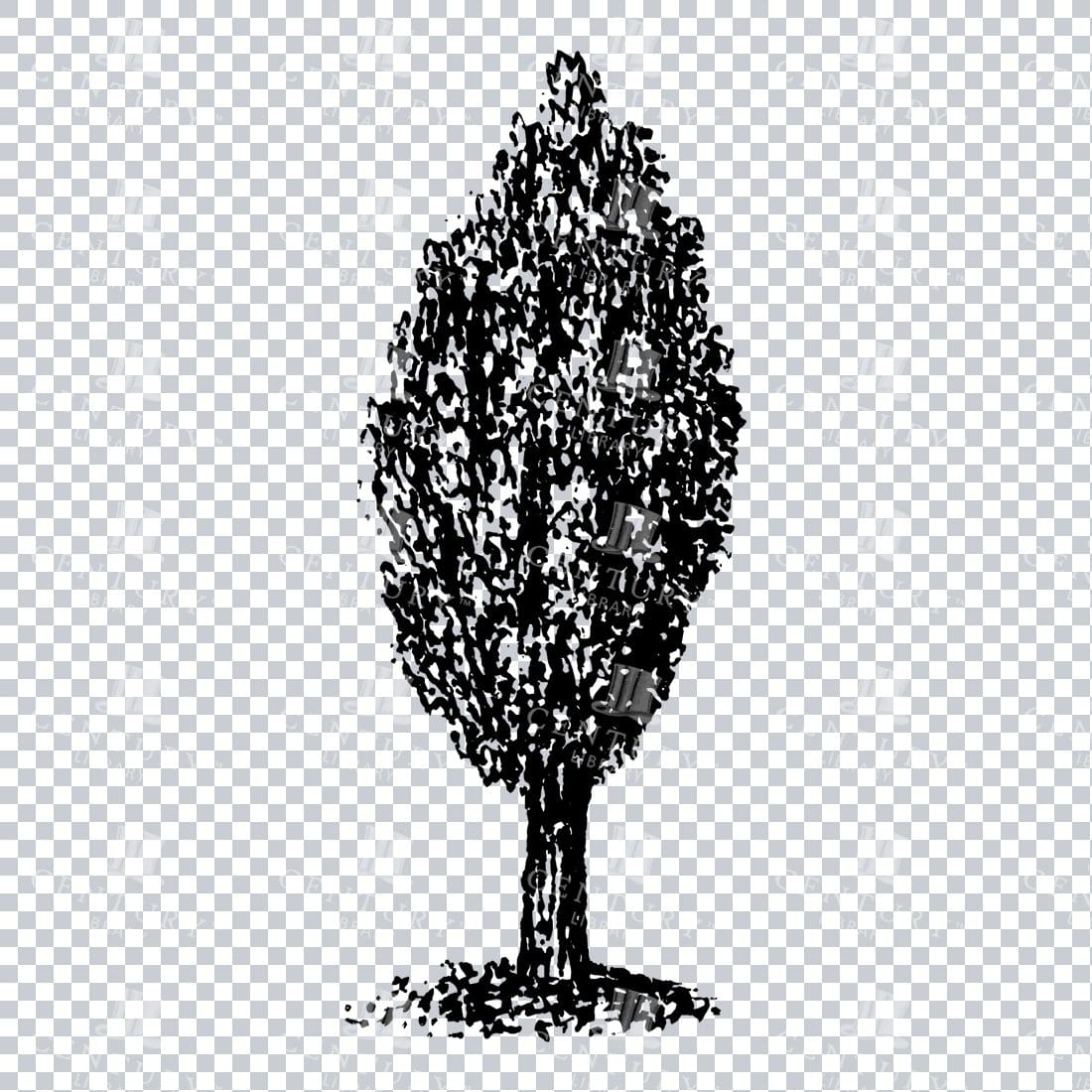 Small Hand Drawn PNG Line Art Illustration of a Tree No.17