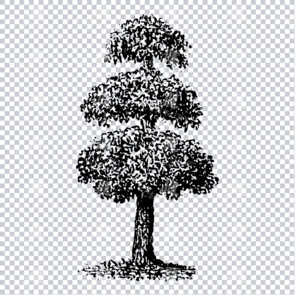 Small Hand Drawn PNG Line Art Illustration of a Tree No.18