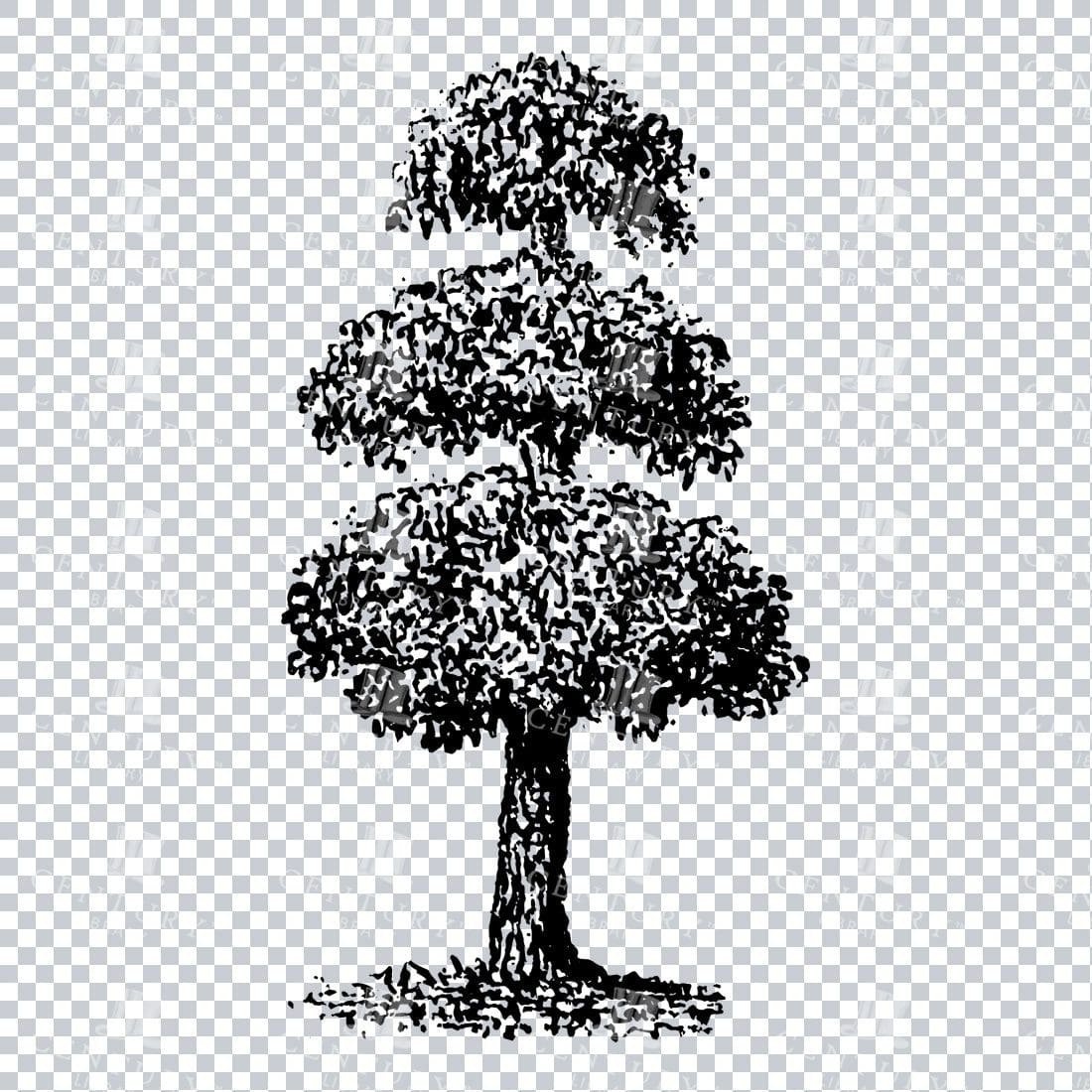 Small Hand Drawn PNG Line Art Illustration of a Tree No.18