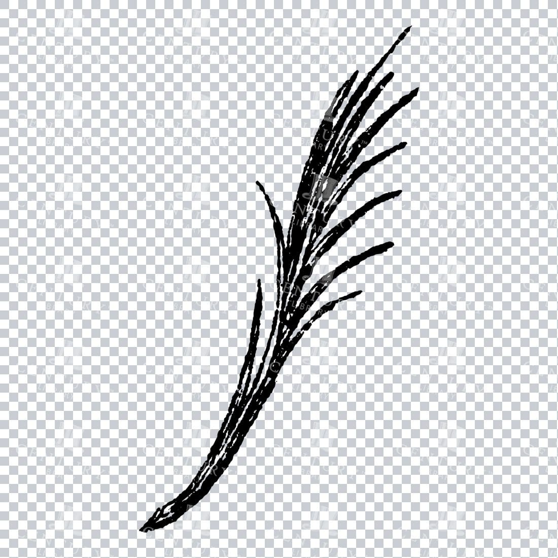 Small Hand Drawn PNG Botanical Illustration - Flower / Leaf  No.40