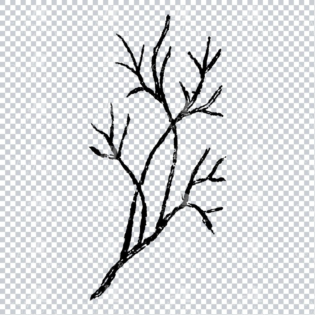 Small Hand Drawn PNG Botanical Illustration - Flower / Leaf  No.41