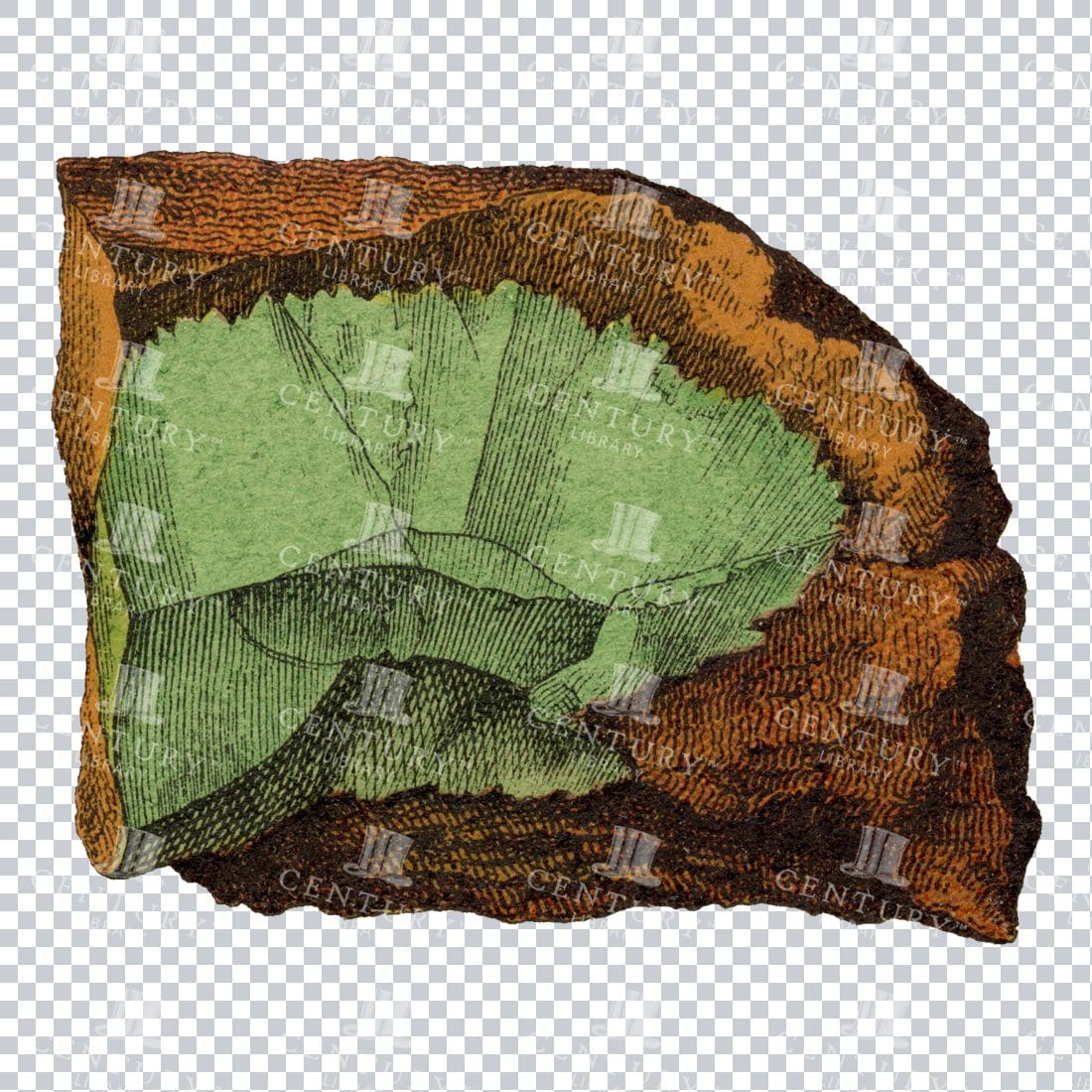 Colored Mineralogy Artwork - Gem / Rock / Mineral / Crystal No.22
